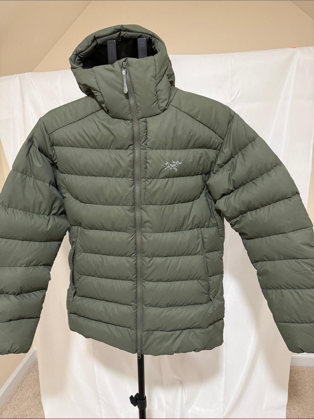 Arc’teryx Men’s Thorium Hoodie Down Jacket